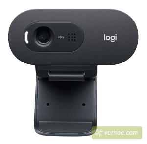 Веб-камера Logitech Europe S.A. 960-001372 Logitech  Webcam C505e Black